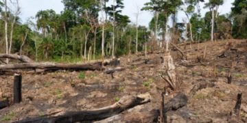 Where is Uganda’s climate cash going?