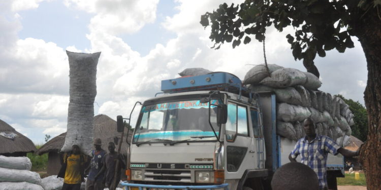 A loading point for charcoal in northern Uganda. CREDIT: Tobias Owiny